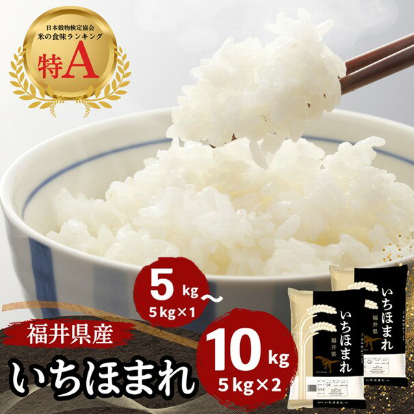 【ふるさと納税】福井県産いちほまれ 米 10kg [D-187001] / 食品 ご飯 お米 白米 いちほまれ ブランド米 米 コメ こめ 精米 白米 10キロのサムネイル