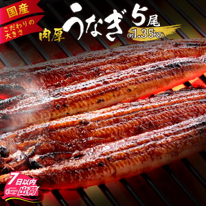 【ふるさと納税】国産 活うなぎ蒲焼 約1.35kg (約270g×5尾) / 国産 愛知県産 網焼 ...