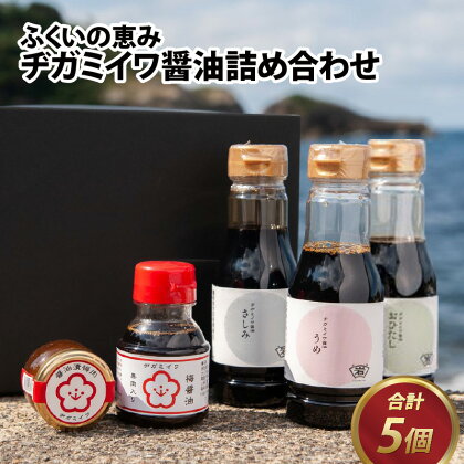 豊富な種類！ふくいの恵み醤油詰め合わせ 5個セット/ 725g 醤油 濃口 甘口 さしみ おひたし 梅 梅肉 おためし 通常配送 岩尾醤油味噌醸造元 送料無料[A-126001]