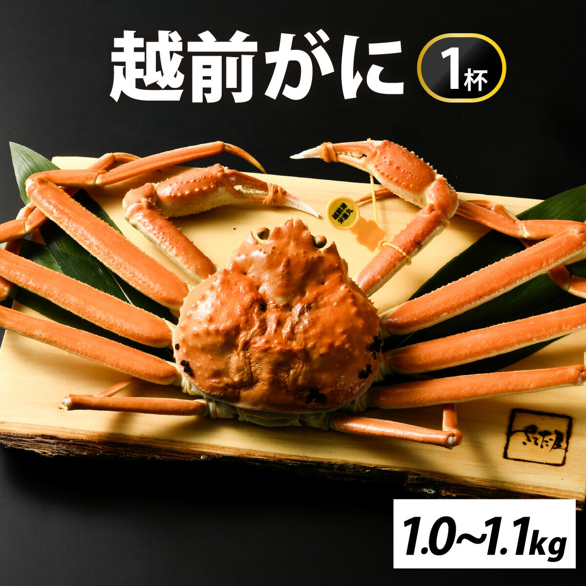 【ふるさと納税】[先行予約]【市場直送】冬の王者！茹で越前がに1000-1100g　1杯【11月中旬より順次発送、年末年始対応不可】 [L-065041]