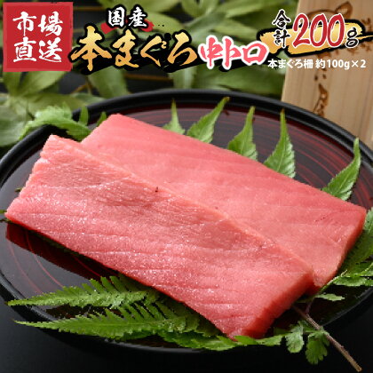 【市場直送】高鮮度急速冷凍 国産本まぐろ 中トロ 約100g（柵）×2 / 200g マグロ 鮪 本マグロ 中トロ さく 刺身 プロトン凍結 国産 冷凍 送料無料 [A-065005]