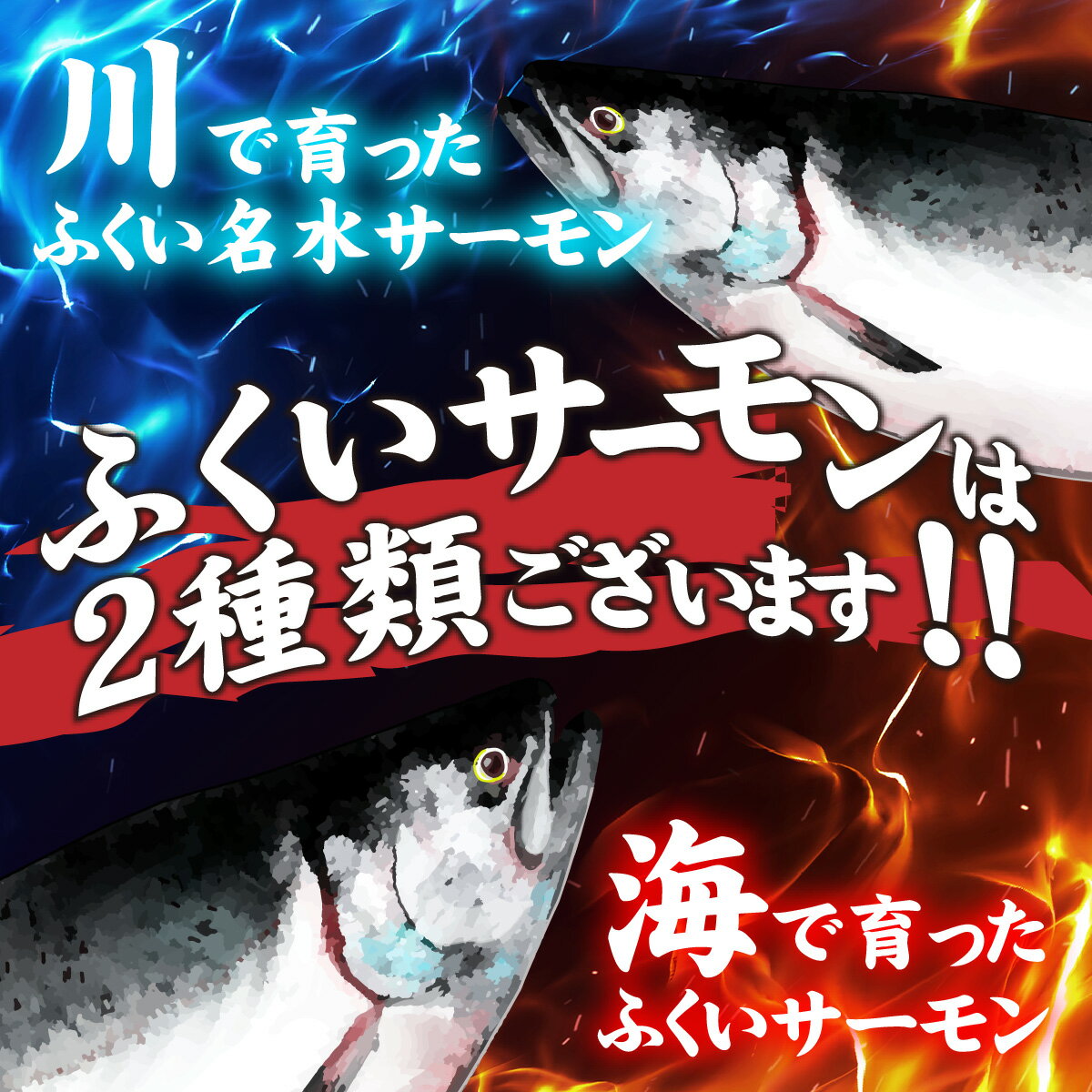 【ふるさと納税】【楽天限定】【訳あり】国産 ふくいサーモン切落し 1kg（約500g×2P）（皮付き・小骨あり）[A-065019] / 1キロ サーモン サケ しゃけ フィレ フィーレ 切りおとし 切り落し 切落とし 真空 訳あり 500グラム 福井県 福井市 鮭 切り身 切身 冷凍 送料無料