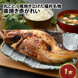 【ふるさと納税】丸ごと1尾焼き上げた福井名物 串焼き赤かれい 1本 / 高栄養 スタミナ かれい 赤がれい 丸ごと 名物 郷土料理 伝統食 のし 風味豊か レンチン おつまみ ギフト配送 送料無料 [A-065027]