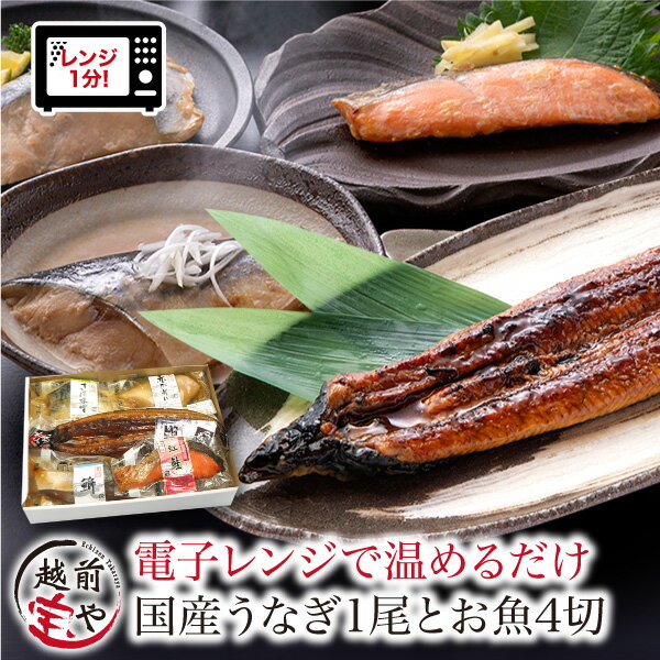 煮魚 焼魚 4種4切+うなぎ蒲焼1尾セット / たからや商店 越前宝や 鮭 かれい ぶり さば ウナギ 鰻 蒲焼 蒲焼き 小分け レンチン 惣菜 お惣菜 時短 お歳暮 お中元 ラク家事 真空パック 送料無料