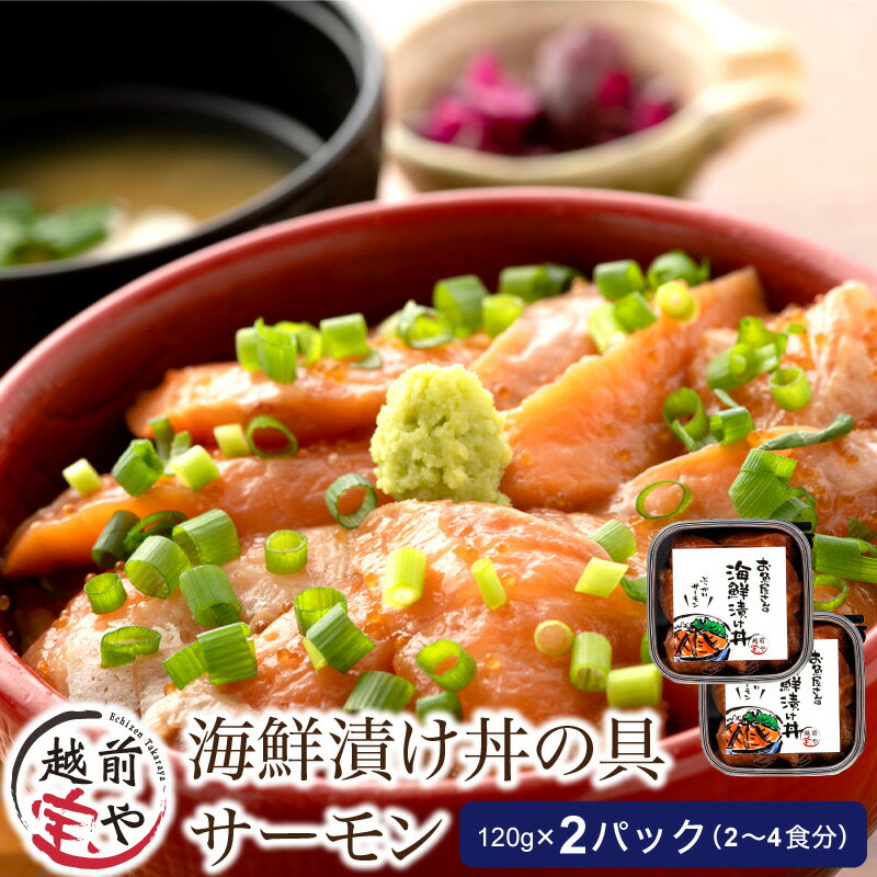 海鮮漬け サーモン 120g×2パック(2〜4食分) / たからや商店 越前宝や サーモン 鮭 福井県 小分け おつまみ 和え物 お茶漬け 漬け丼 ごはんのお供 海鮮丼 惣菜 一人暮らし 新生活 送料無料 [A-088012]