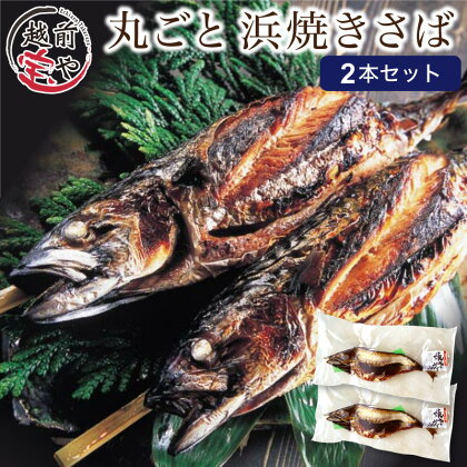 【福井名物】丸ごと浜焼きサバ 串刺し 2本入 / たからや商店 越前宝や 浜焼き 半夏生 鯖 さば レシピ付き レンジ 丸ごと 一本 全長30cm 2本入り 冷凍 簡単調理 送料無料 [A-088016]