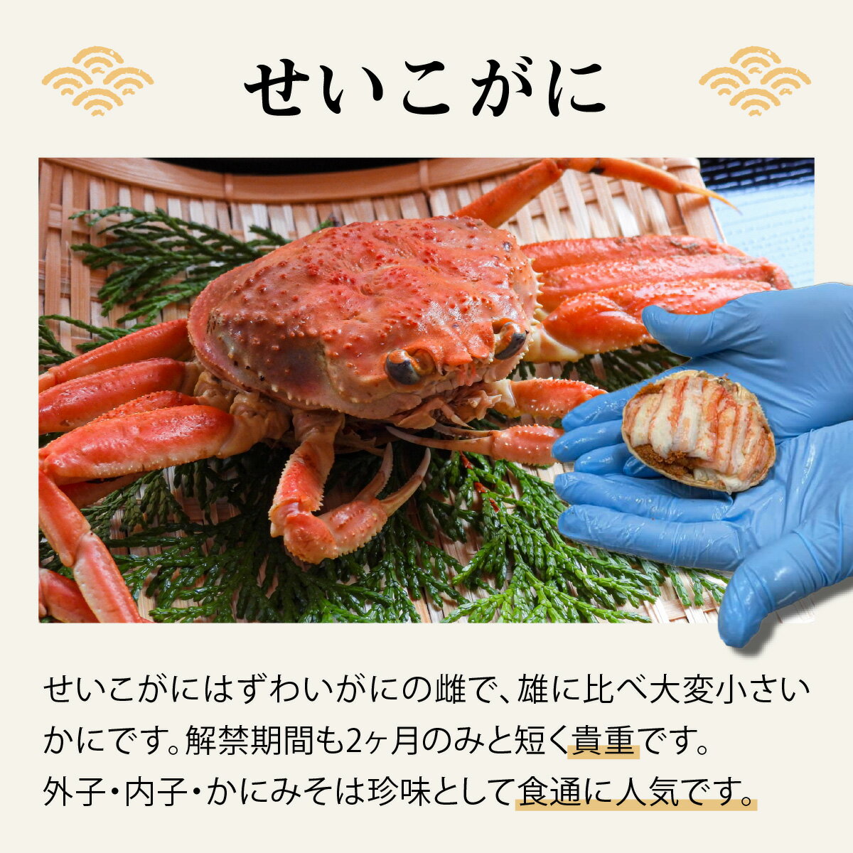 【ふるさと納税】【訳あり】プチプチ食感の外子と濃厚な内子 せいこがに 甲羅盛 70～80g（中大サイズ）選べる個数！【トライアル返礼品】/かに セイコガニ 蟹 解禁 国産 急速 冷凍 まつだせいこ [B-007020]