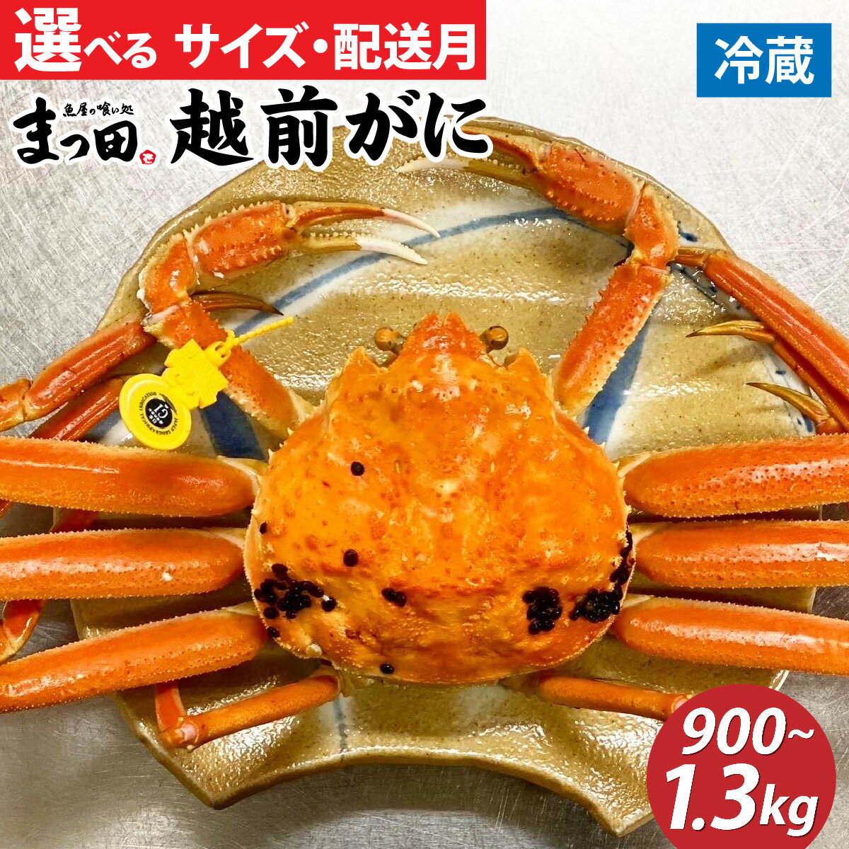 [先行予約]越前ガニ ズワイガニ 姿[11月〜3月発送][900g〜1.3kg ×1杯]まっ田の越前がに [J-007007] / / 福井県 福井 オス 雄 ズワイガニ ボイル 冷蔵 越前ガニ 越前がに 越前カニ ずわいがに ずわい蟹 かに カニ 蟹 指定 茹で すがた 姿 国産