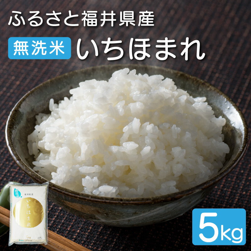 【ふるさと納税】無洗米 ふるさと福井県産 【特A】 いちほまれ 精米5kg【無地のし対応可】