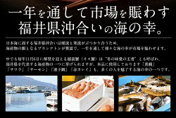 【ふるさと納税】レビューキャンペーン実施中!!福井の地魚セット 5種盛合わせ【魚介類・加工品】 画像2