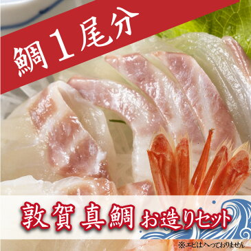 【ふるさと納税】マダイ 敦賀真鯛お造りセット 1尾分(切身約300g、アラ約600g) 身は刺身 しゃぶしゃぶ 南蛮漬けなど。アラは 煮つけ 塩焼き 炊き込み がおすすめです! 冷凍