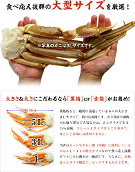 【ふるさと納税】時期が選べる【お刺身OK】生ずわい蟹ポーション1kg （総重量1.3kg）【甲羅組 ずわい蟹 ずわいガニ ズワイガニ 蟹 カニ】 画像2