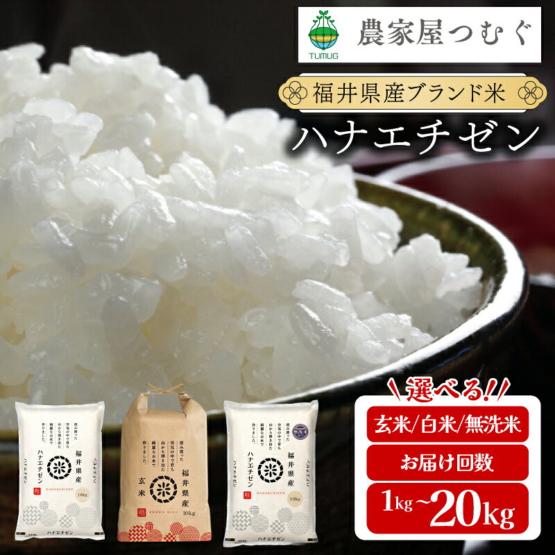 【ふるさと納税】 福井県産 ハナエチゼン 精米 / 無洗米 / 玄米 ＜令和8年産 / 数量限定 ＞ [ 1kg / 5kg / 10kg / 20kg / 定期便 3〜12回 ]【新米 米 コメ お米 白米 無洗米 玄米 ご飯 飯 華越前 ブランド米 国産 お中元 お歳暮 ギフト 贈り物 贈答 NEW 新規】 f182028-tsuruga-10001156 福井県敦賀市 パッケージ画像