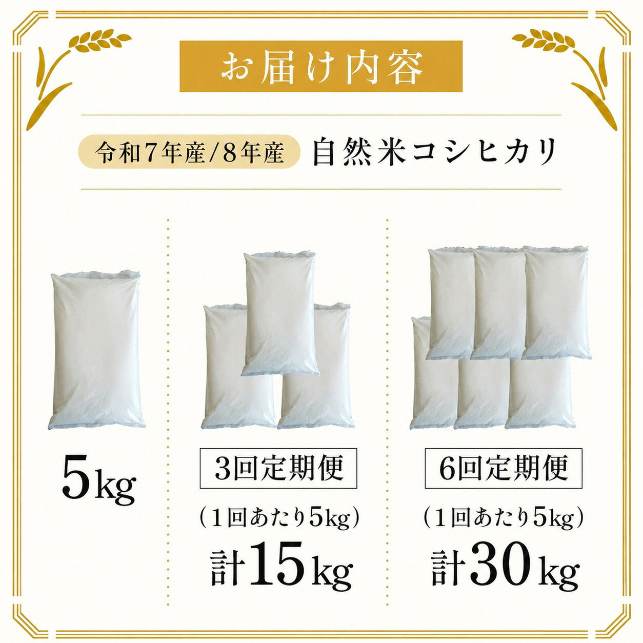 【ふるさと納税】令和7年産米 令和8年産米 自然米コシヒカリ 5kg【新米 米 コメ お米 白米 ご飯 飯 こしひかり ブランド米 国産 北陸 お中元 お歳暮 ギフト 定期便 贈り物 贈答 NEW 新規】