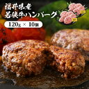 レビューキャンペーン実施中!!ハンバーグ 10個 1.2kg！ 極上の味！「福井県産若狭牛ハンバーグ 1200g(120g × 10個)」 精肉店自慢のちょっと贅沢ハンバーグ 和牛 国産牛肉 冷凍便