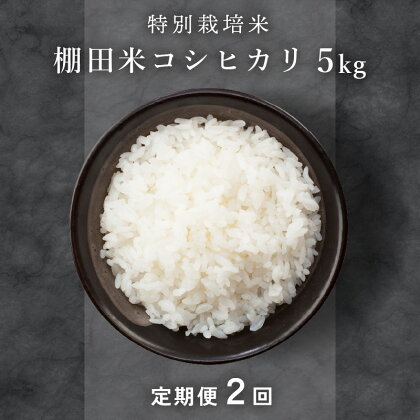 レビューキャンペーン実施中!!米 定期便 特別栽培米 令和5年度産 コシヒカリ 5kg × 2ヶ月（計10kg） 福井県こだわり米登録！棚田の特別栽培米 にっぽんのふるさと福井厳選米 こしひかり こめ コメ【2ヶ月連続お届け】