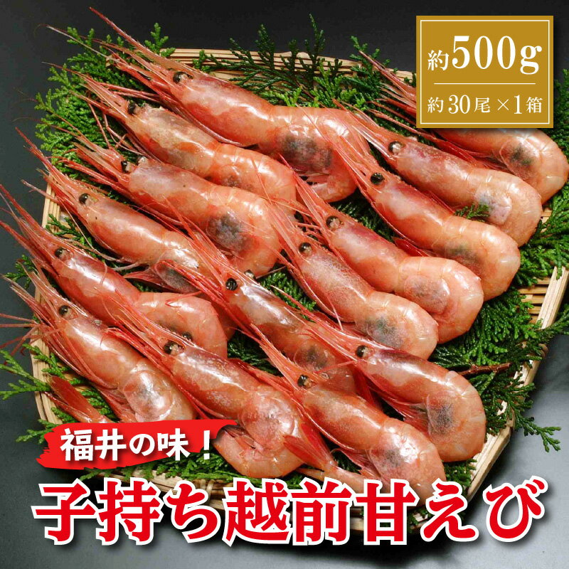 【ふるさと納税】甘えび 約500g (約30尾) 福井県沖で獲った 子持ち 越前 甘エビ を船の中で冷凍しました 甘海老【事業者応援！【相木 敦賀 あまえび アマエビ 甘エビ 刺身 生 生食 冷凍 500g】
