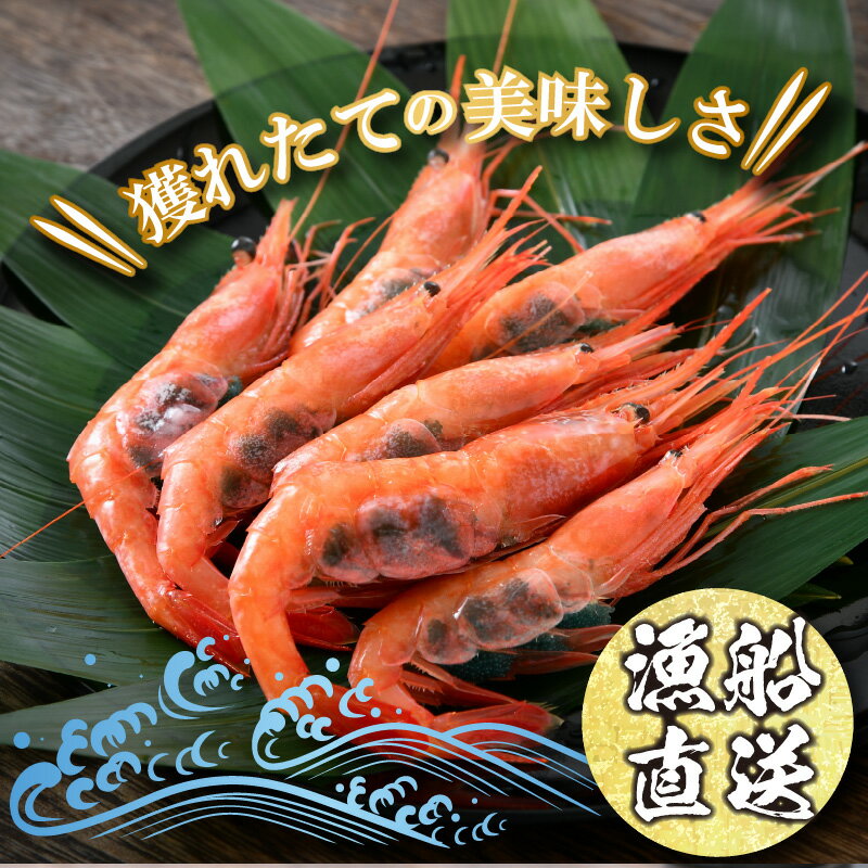 【ふるさと納税】甘えび 約500g (約30尾) 福井県沖で獲った 子持ち 越前 甘エビ を船の中で冷凍しました 甘海老【事業者応援！【相木 敦賀 あまえび アマエビ 甘エビ 刺身 生 生食 冷凍 500g】
