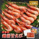 【ふるさと納税】レビューキャンペーン実施中!!【コロナ訳あり】甘えび 約500g(約30尾) 福井県沖で獲った子持ち越前…