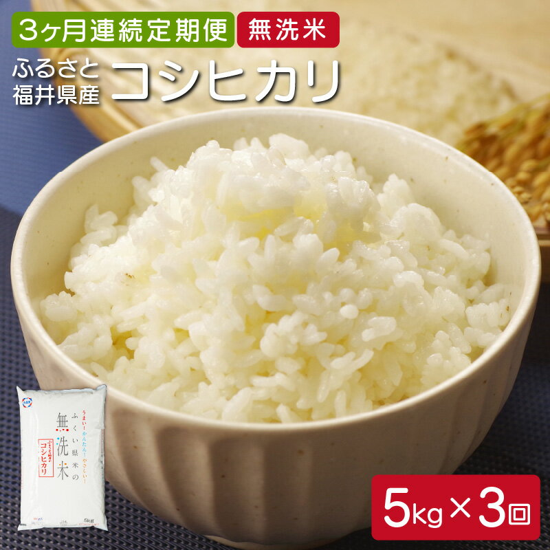 米 定期便 ≪3ヶ月連続お届け≫ 福井県産 無洗米ふるさとコシヒカリ 5kg × 3か月【米 コメ こめ こしひかり ブランド 令和5年産 定期便 無洗米】