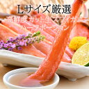 福井県敦賀市の画像2