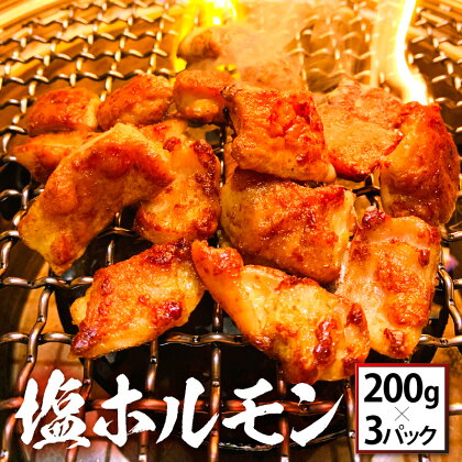 レビューキャンペーン実施中!! 豚塩ホルモン 600g（200g×3パック）絶品！焼肉屋「牛びより」自慢の味付き塩ホルモン 焼肉 BBQ バーベキュー ホルモン炒め おかず おつまみ 肴 あて 冷凍