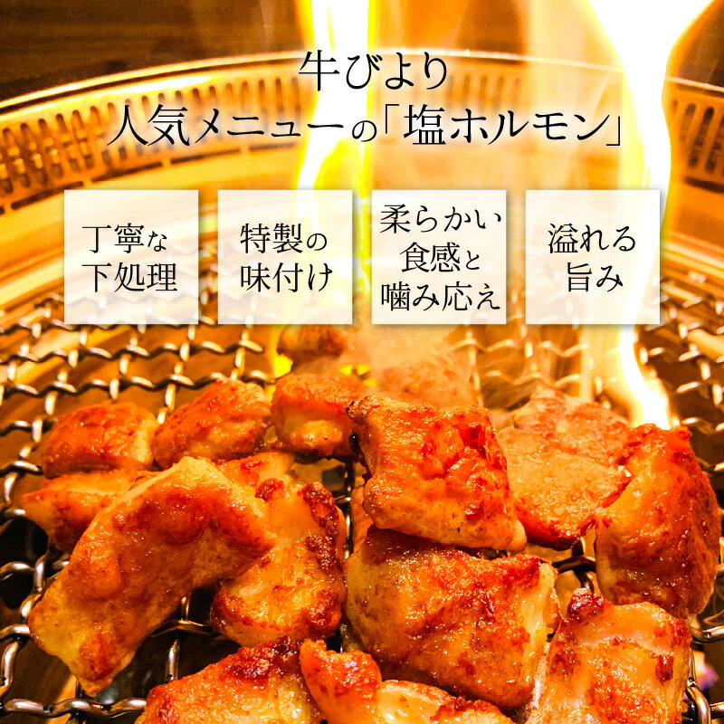 【ふるさと納税】 豚塩ホルモン 600g（200g×3パック）絶品！焼肉屋「牛びより」自慢の味付き 塩ホルモン 【焼肉 BBQ バーベキュー ホルモン 炒め おかず おつまみ 肴 あて 冷凍 お中元 お歳暮 ギフト 贈り物 プレゼント】