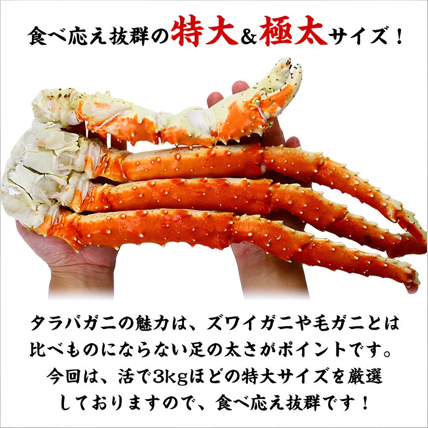 【ふるさと納税】『 着日指定可能！年始1月5日出荷再開 』 ボイル たらばがに 足 1〜3kg（1kgあたり:1肩 / 解凍後800g）【甲羅組 海鮮 タラバ蟹 カニ カニ足 カニ鍋 人気 お歳暮 ギフト】