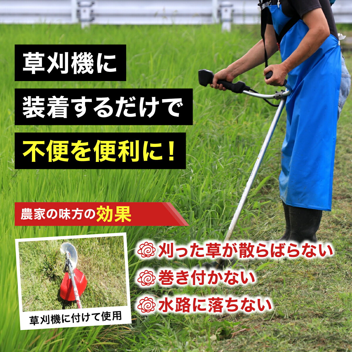 福井県敦賀市の画像2