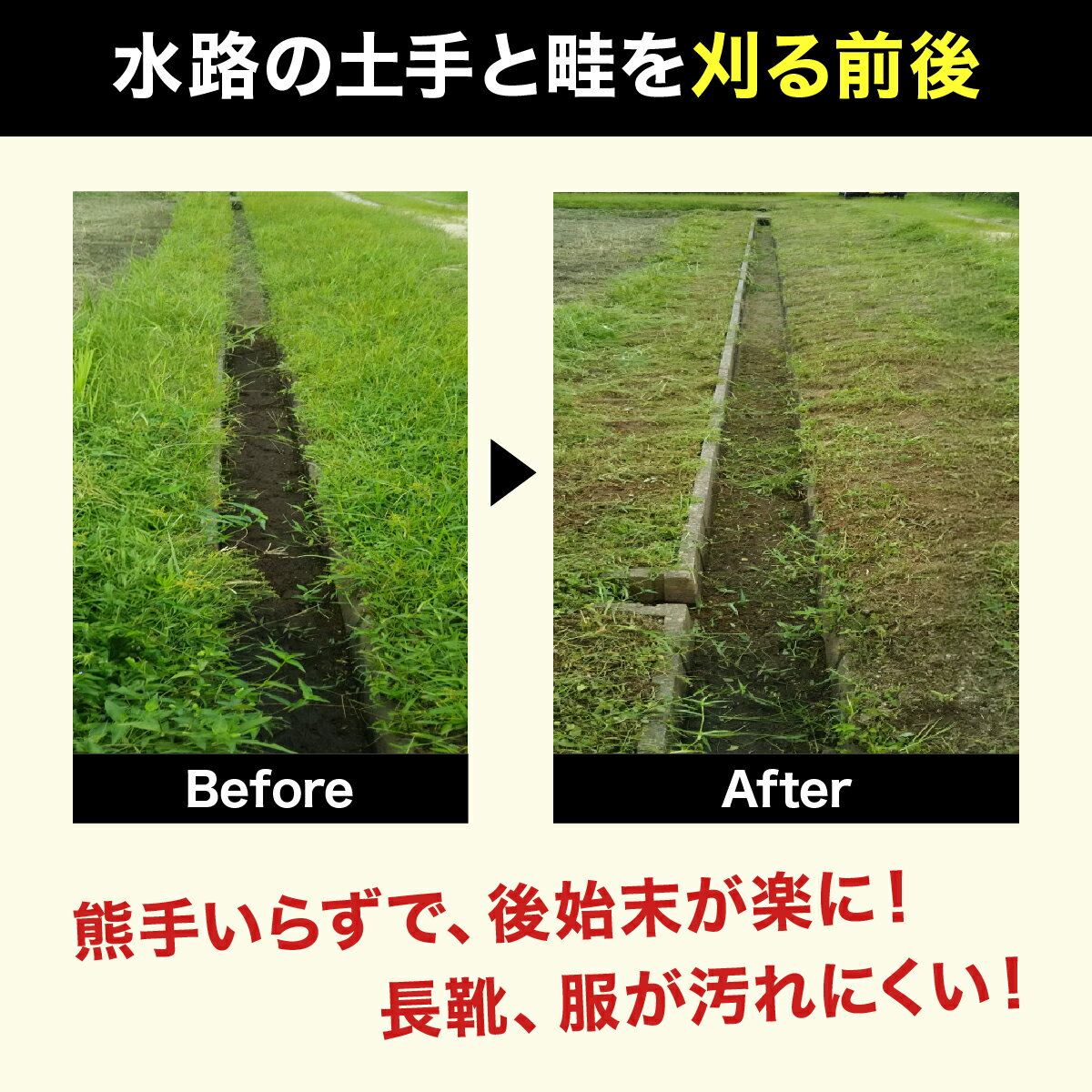 福井県敦賀市の画像3