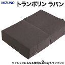 【ふるさと納税】トランポリン MIZUNO ラパン ブレスエアー【送料無料 福井県 敦賀市 MIZUNO mizuno 筋トレ ダイエット 室内運動 トランポリン ジャンプ運動 ウォーキング 室内ジョギング クッ…