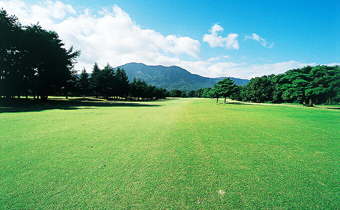 【ふるさと納税】敦賀国際ゴルフ倶楽部 平日2バック・セルフプレー券 レジャー【ゴルフ場利用権・チケット】