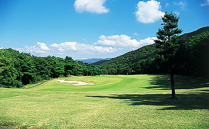 福井県敦賀市の画像3