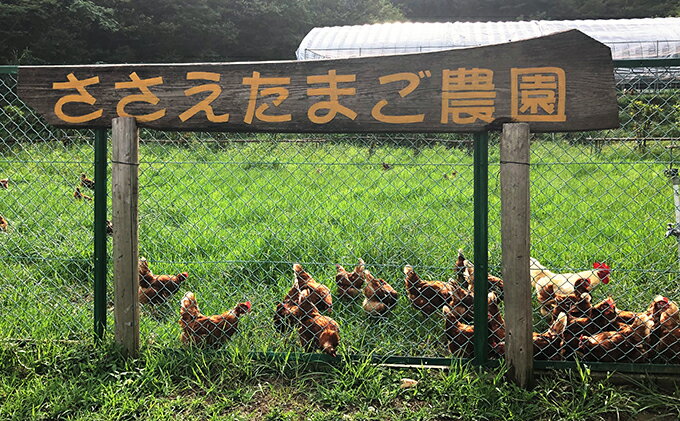 ふるさと納税 敦賀のたまごやさんの濃厚ニューヨークチーズケーキ 小 2個セット お菓子 チーズケーキ 福井県敦賀市