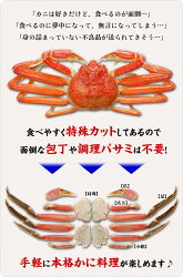 【ふるさと納税】時期が選べる【お刺身OK】甲羅組のカット生ずわい蟹 700g × 3【甲羅組 蟹 カニ 魚介類 魚貝類】 画像2