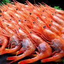 【ふるさと納税】お中元 越前子持ち甘えび1kg(500g×2...