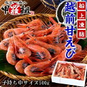 【ふるさと納税】無添加&船上急速凍結!越前甘えび500g 【...