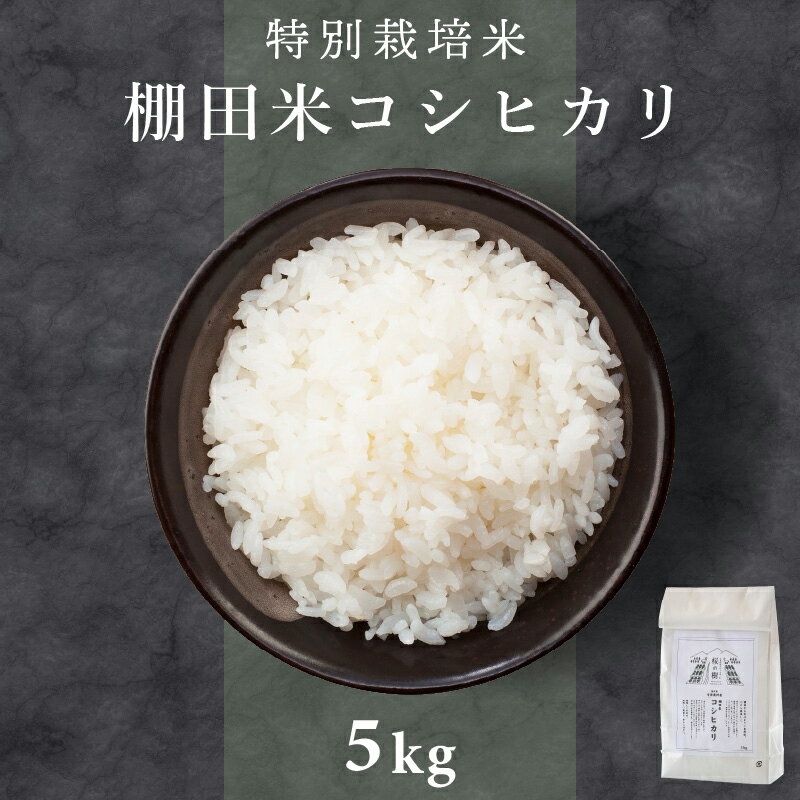 レビューキャンペーン実施中!!米 5kg 特別栽培米 令和5年度産 コシヒカリ 福井県産米 山羊と育てたお米「愛発の棚田米」 ふくふく、もっちり。口に広がる旨味にしっかりとした粒感。