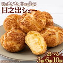 【ふるさと納税】【内容量が選べる】創業から124年!小堀日之出堂 日之出シュー 3~10個入り【お菓子 洋菓子 スイーツ シュークリーム クッキーシュークリーム お中元 お歳暮 ギフト 贈り物 プレゼント 新規 NEW】