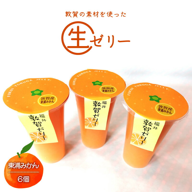 【ふるさと納税】敦賀ゼリー6個入り(東浦みかん3個入×2セット)