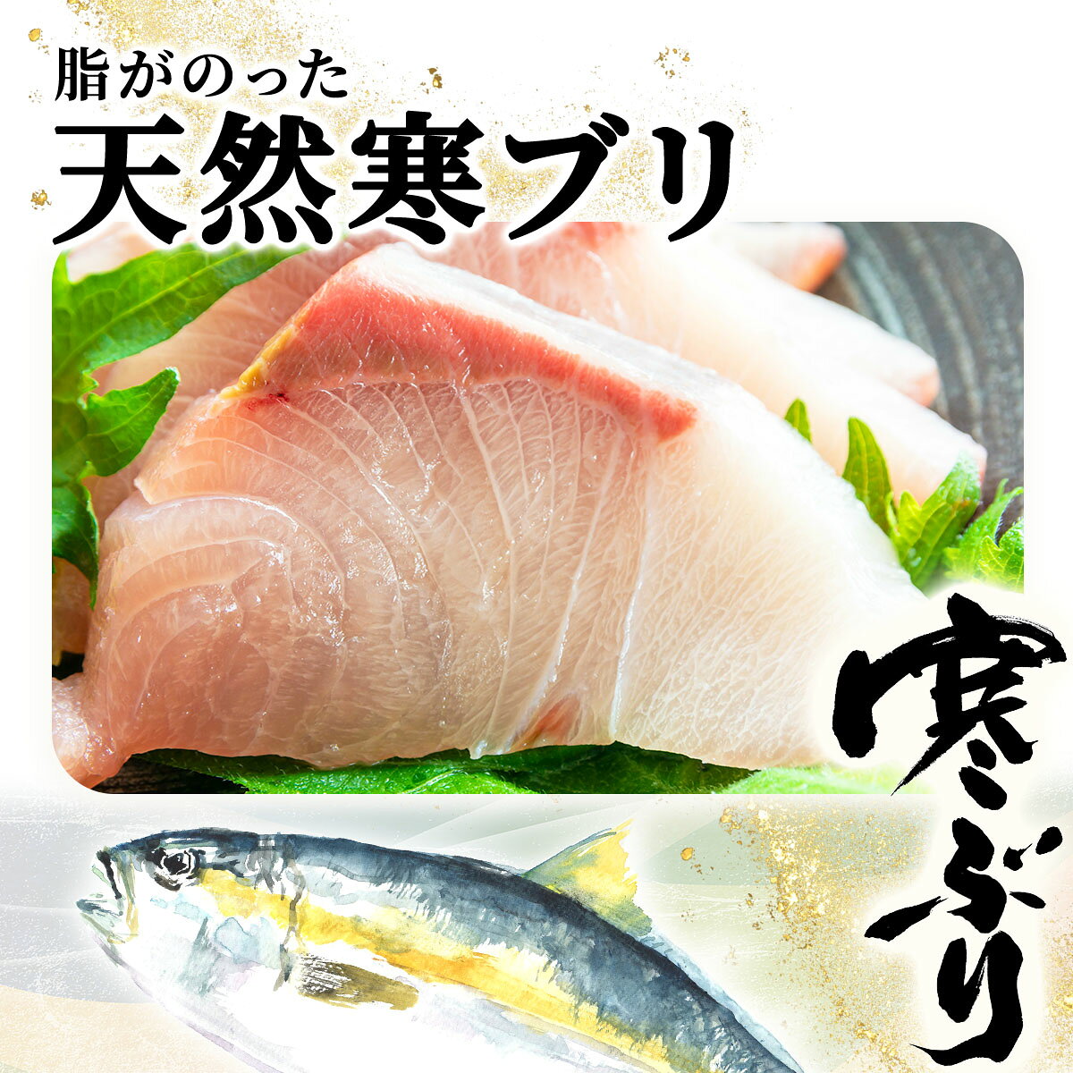 【ふるさと納税】【期間限定・数量限定】若狭湾の天然寒ブリ 10kg以上サイズの 1/4...