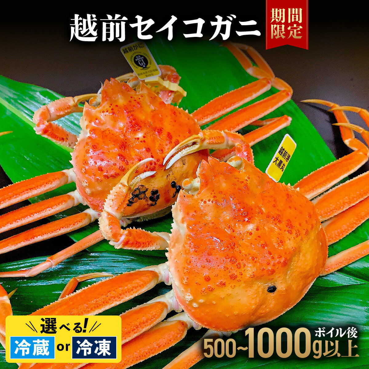 【ふるさと納税】【選べる容量】越前セイコガニ ボイル後500g以上 or 1,000g以上 (ボイル前600g〜1,150g前後)冷蔵または冷凍 お届け時期:...