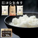 【ふるさと納税】福井県産 コシヒカリ 精米 / 無洗米 / 玄米 <令和7年産 新米 先行予約 / 数量限定 > [ 1kg / 5kg / 10kg / 30...