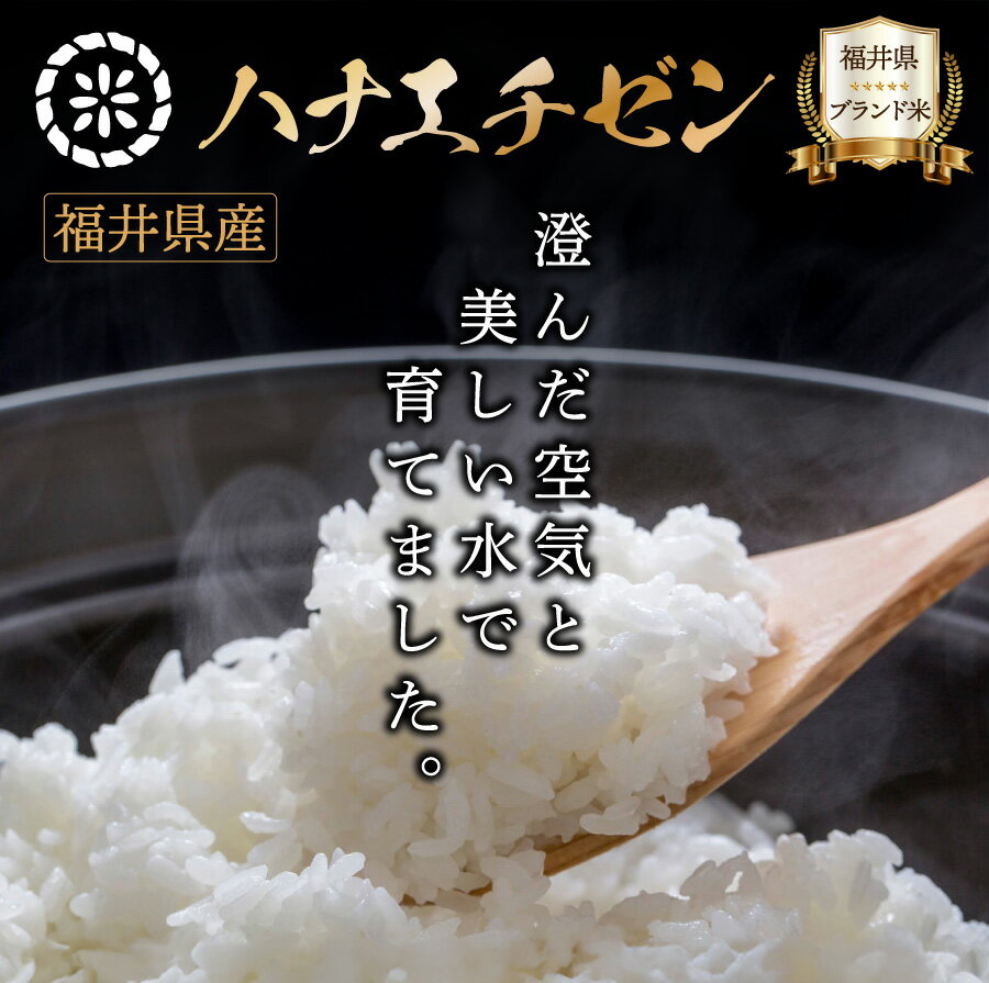 【ふるさと納税】福井県産 ハナエチゼン 精米 / 無洗米 / 玄米 ＜令和7年産 新米 先行予約 / 数量限定 ＞ [ 1kg / 5kg / 10kg / 30kg / 定期便 ]【米 コメ お米 精米 白米 無洗米 玄米 ご飯 飯 華越前 ブランド米 国産 お中元 お歳暮 ギフト 贈り物 贈答 NEW 新規】