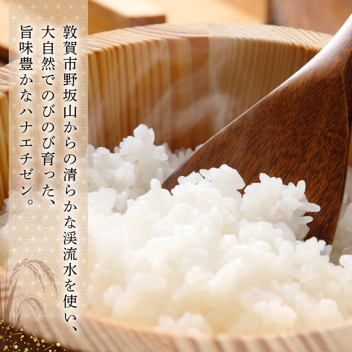 【ふるさと納税】【令和7年産 令和8年産】『 ハナエチゼン 』精米 5kg〜 福井県敦賀市産 ＜選べる 単品 定期便＞【新米 米 コメ お米 白米 ご飯 飯 華越前 ブランド米 国産 北陸 お中元 お歳暮 ギフト 贈り物 贈答】 f182028-tsuruga-10001189 福井県敦賀市 サンプル画像2