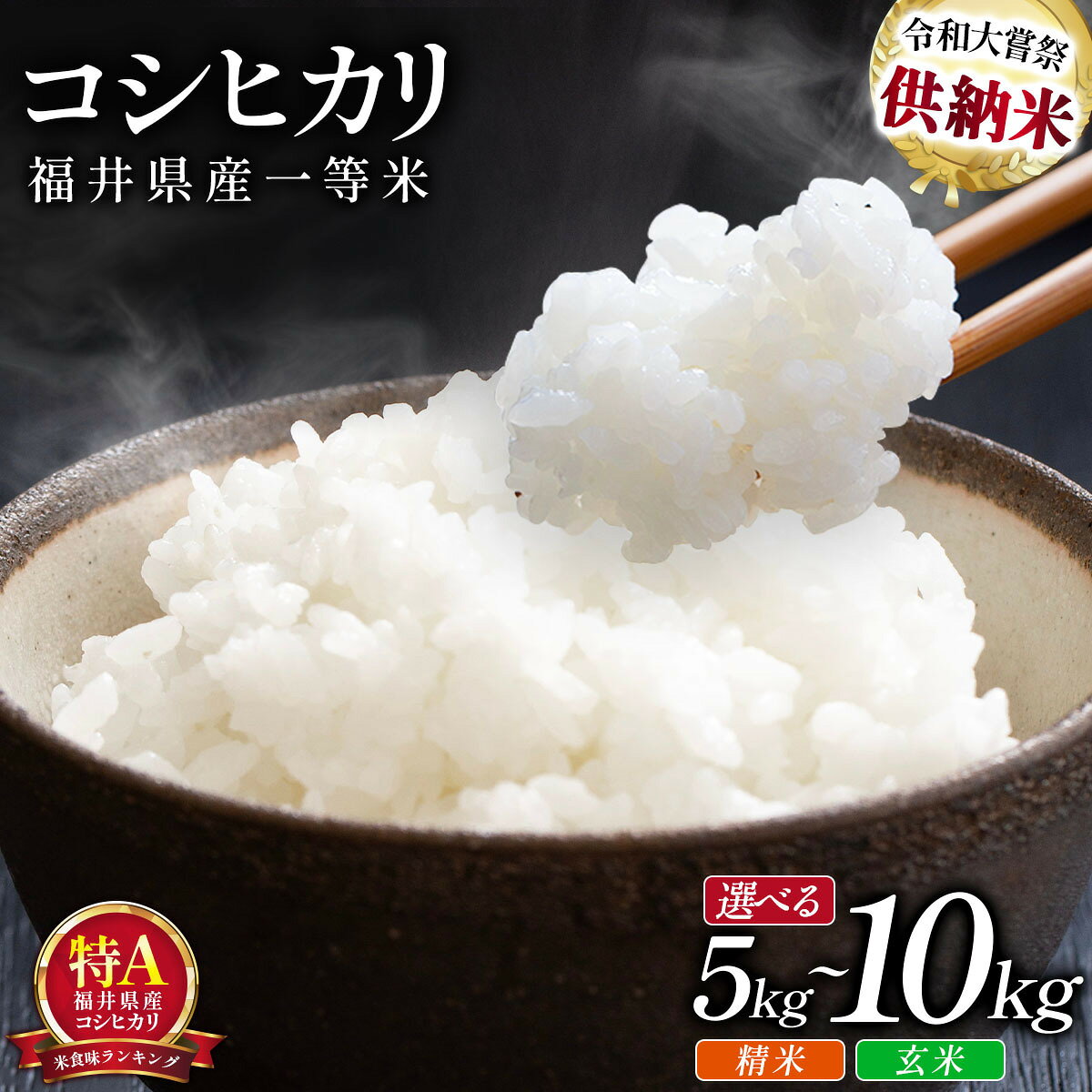 ＜令和8年産 / 数量限定 ＞ 福井県産 コシヒカリ 一等米 精米 or 玄米 5kg / 10kg【米 コメ お米 ブランド米 白米 精米 こしひかり 国産 北陸 5kg 10kg ご飯 ごはん 小分け 家庭用 ふるさと納税米】