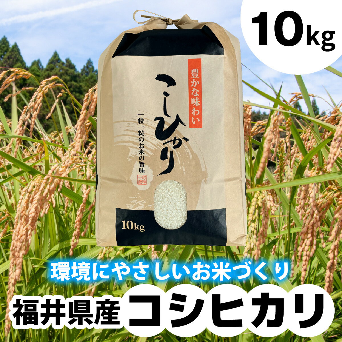 【ふるさと納税】【令和6年産】福井県産 ラクト農法 コシヒカリ　10kg | 米 お米 おこめ 精米 こしひかり 10キロ[A-106001]のサムネイル