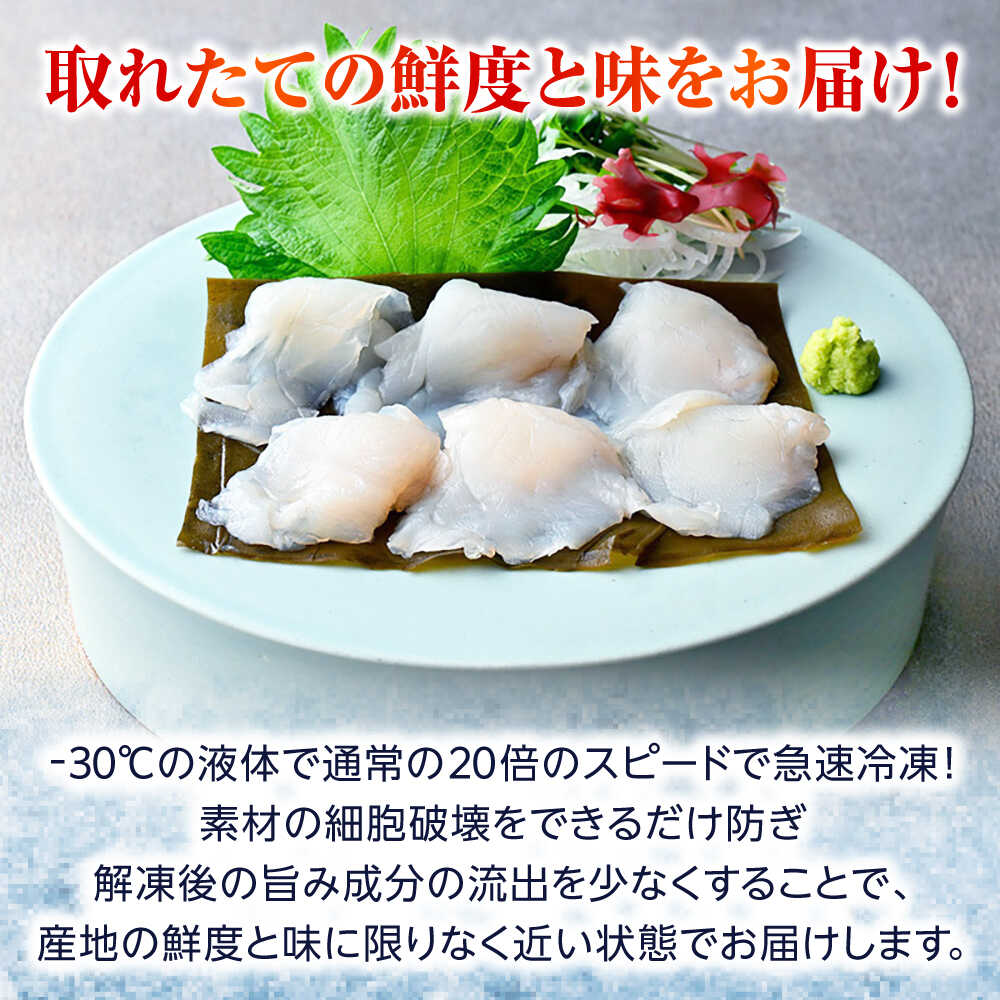 【ふるさと納税】汐真ふぐ昆布〆 ｜生食 刺身 真空 ふぐ フグ 昆布締め 産地直送 国産 人気 送料無料 福井県小浜市 [Y-001037] 【配送不可地域：北海道・沖縄・離島】 [BFAA046]