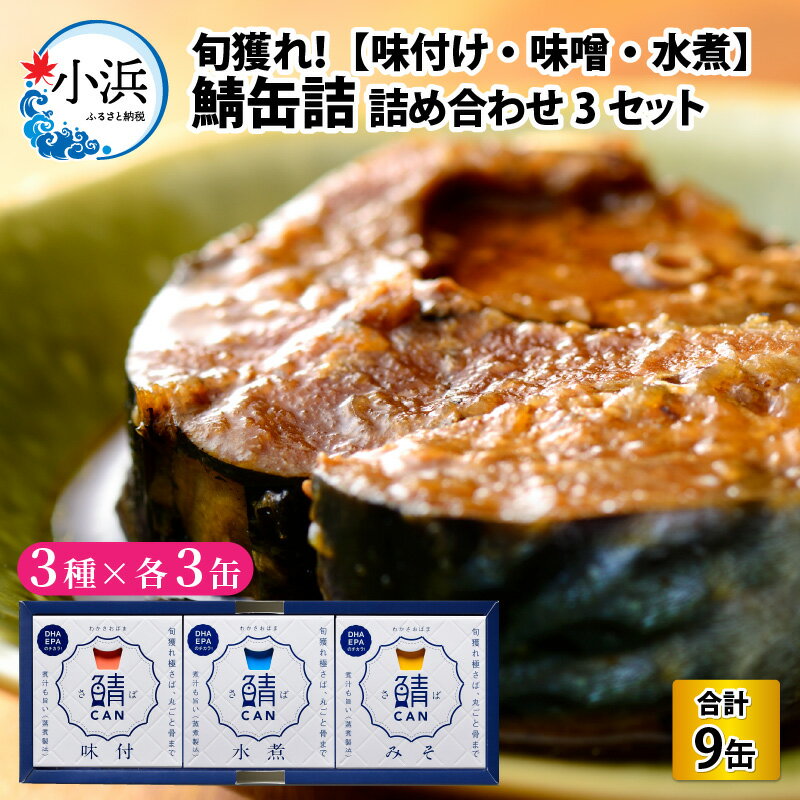 【ふるさと納税】旬獲れ 鯖缶詰 3ケ詰め合わせ(味付・味噌・水煮) × 3セット サバ缶 キャンプ アウトドア おつまみ 保存食 常温 プレゼント 贈り物 [A-001017] 1