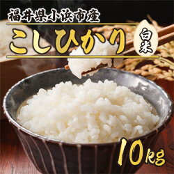 【ふるさと納税】【令和3年産】福井県産コシヒカリ 白米10kg 若狭の恵 [A-002002] 画像1